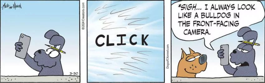 Dogs of C-Kennel for Mar 30, 2024