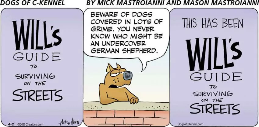 Dogs of C-Kennel for Apr 02, 2023