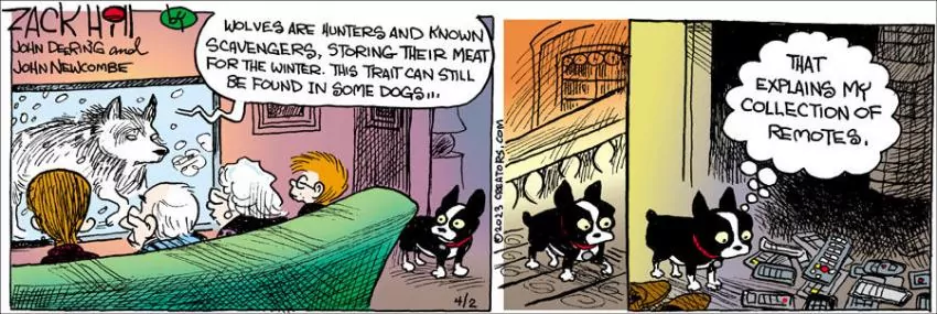 Zack Hill for Apr 02, 2023