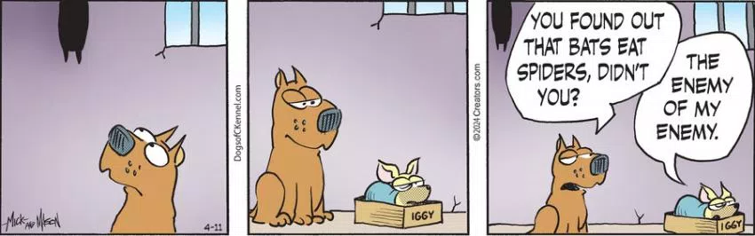 Dogs of C-Kennel for Apr 11, 2024