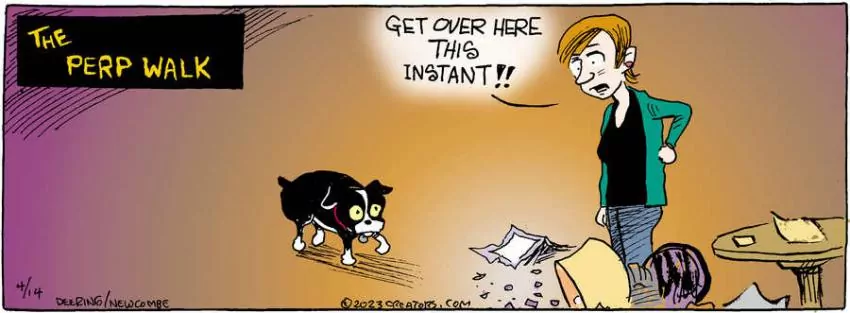 Zack Hill for Apr 14, 2023