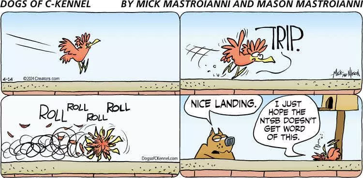 Dogs of C-Kennel for Apr 14, 2024