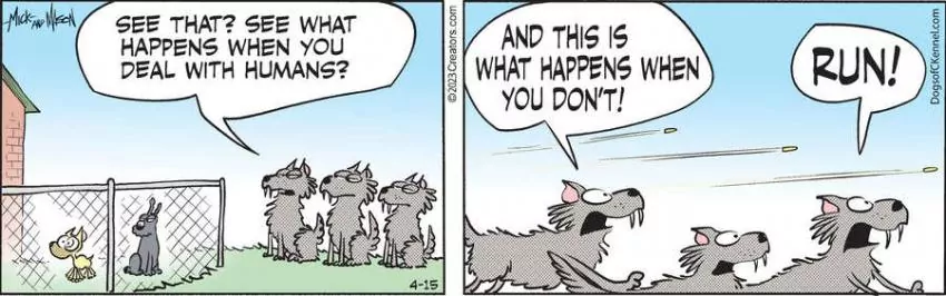 Dogs of C-Kennel for Apr 15, 2023