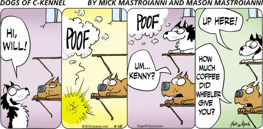Dogs of C-Kennel for Apr 16, 2023