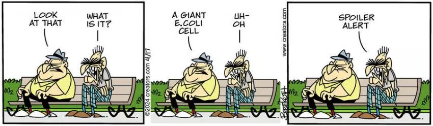 Diamond Lil for Apr 17, 2024