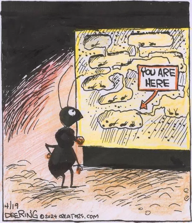 Strange Brew for Apr 19, 2024