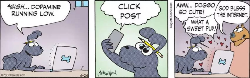 Dogs of C-Kennel for Apr 24, 2023