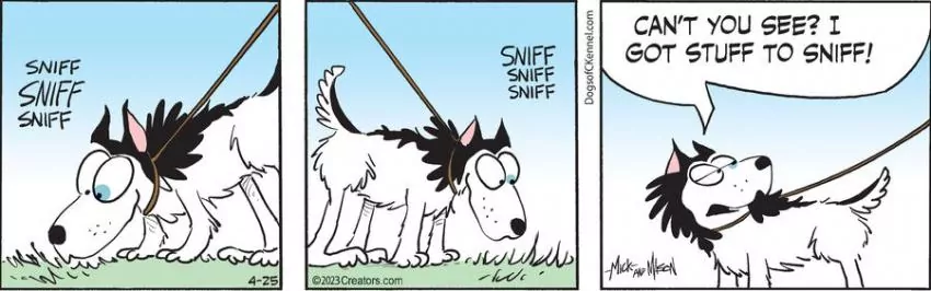 Dogs of C-Kennel for Apr 25, 2023