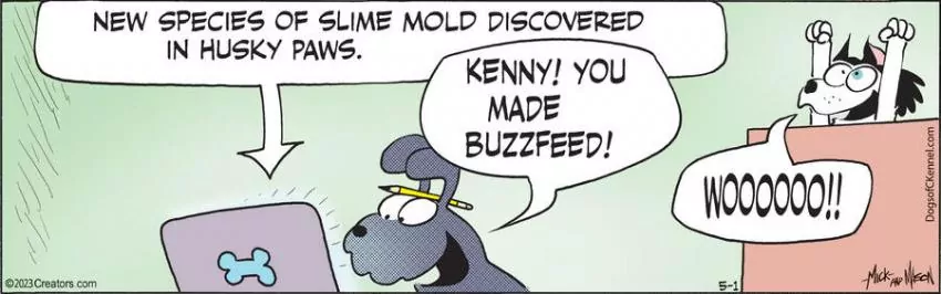 Dogs of C-Kennel for May 01, 2023