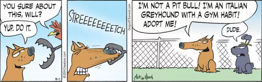 Dogs of C-Kennel for May 01, 2024