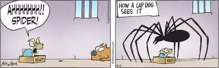 Dogs of C-Kennel for May 02, 2024