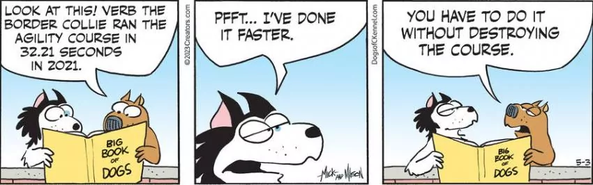 Dogs of C-Kennel for May 03, 2023