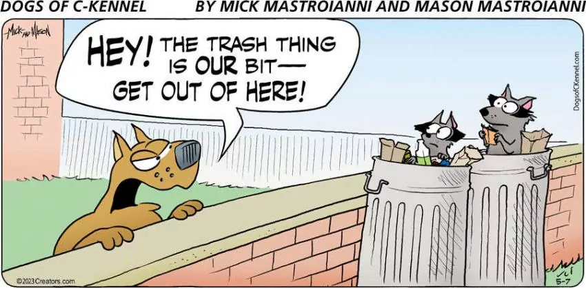 Dogs of C-Kennel for May 07, 2023