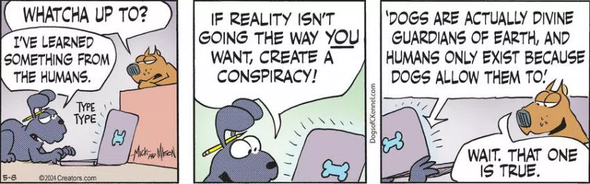 Dogs of C-Kennel for May 08, 2024