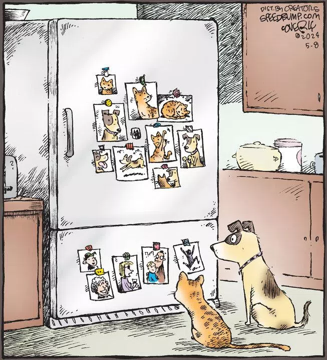 Speed Bump for May 08, 2024