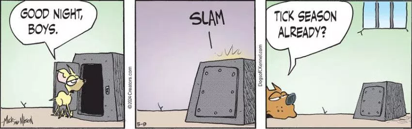 Dogs of C-Kennel for May 09, 2024