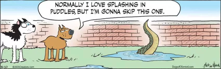 Dogs of C-Kennel for May 10, 2023