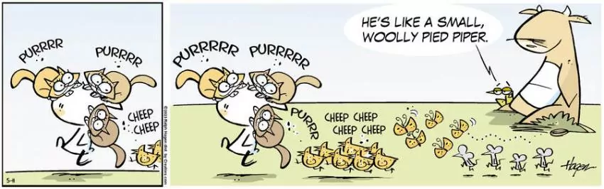 The Barn for May 11, 2023