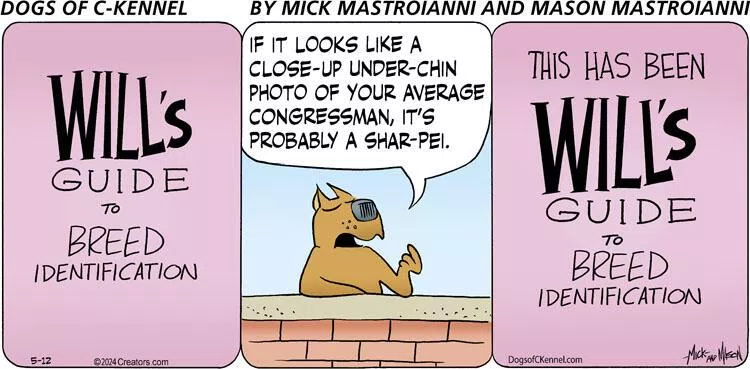 Dogs of C-Kennel for May 12, 2024