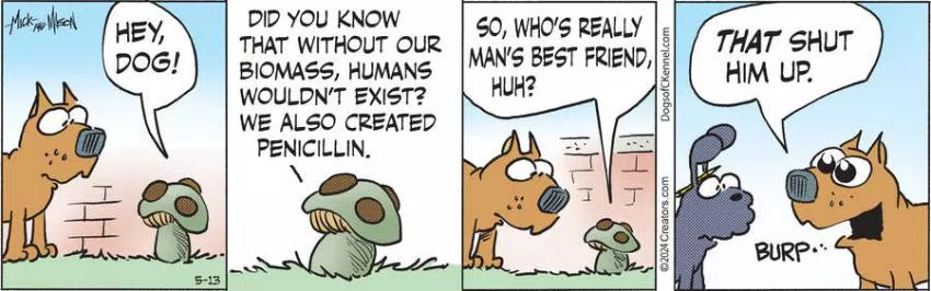 Dogs of C-Kennel for May 13, 2024