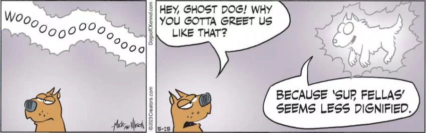 Dogs of C-Kennel for May 15, 2023