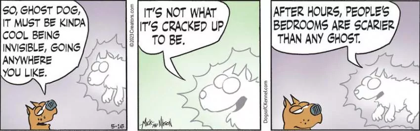 Dogs of C-Kennel for May 16, 2023