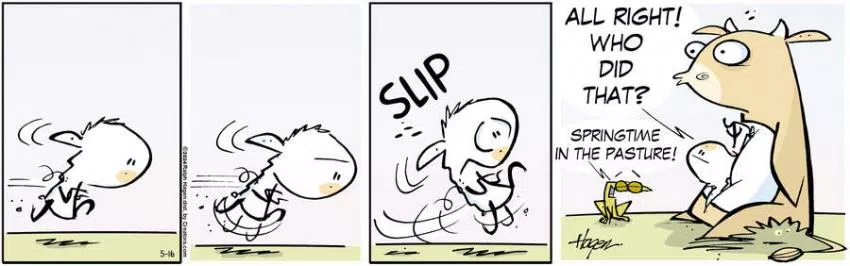 The Barn for May 16, 2024