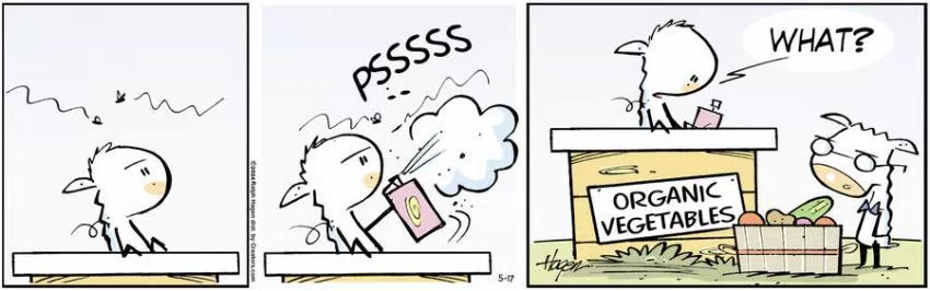 The Barn for May 17, 2024