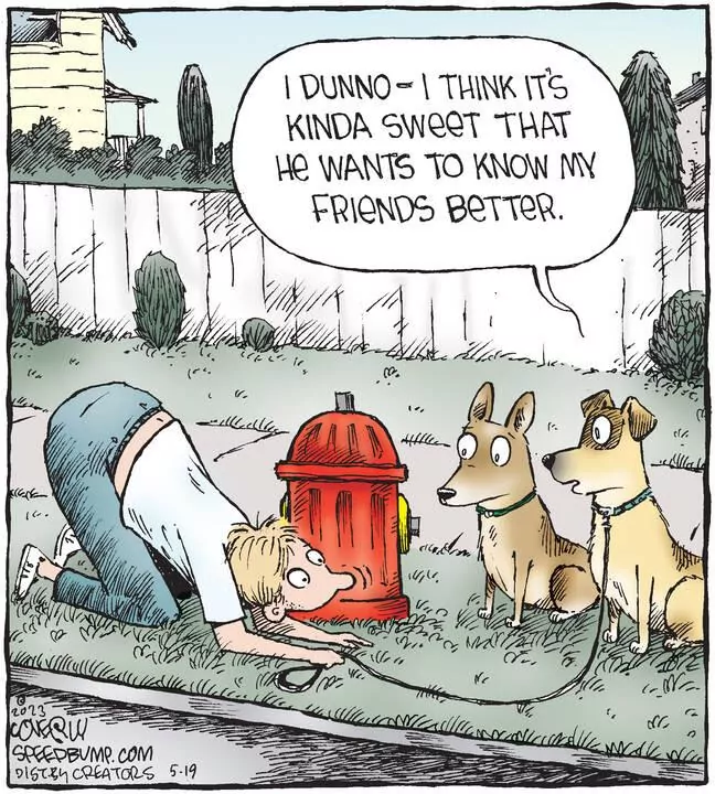 Speed Bump for May 19, 2023