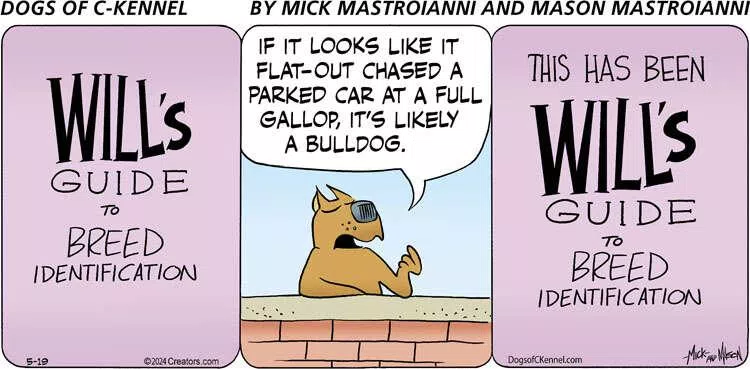Dogs of C-Kennel for May 19, 2024