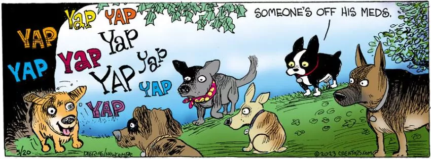 Zack Hill for May 20, 2023