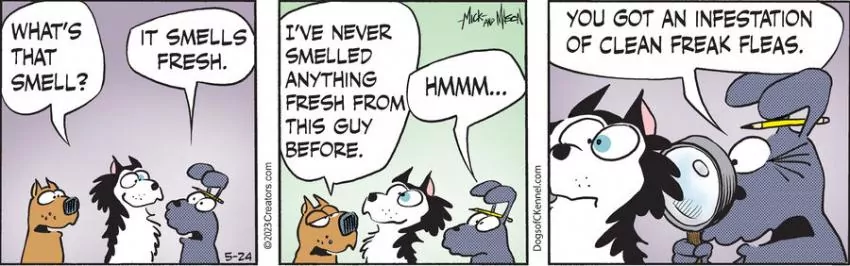 Dogs of C-Kennel for May 24, 2023