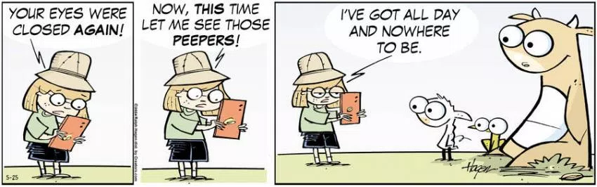 The Barn for May 25, 2024