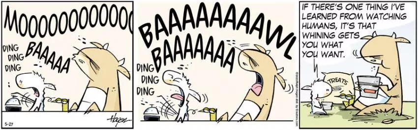 The Barn for May 27, 2023