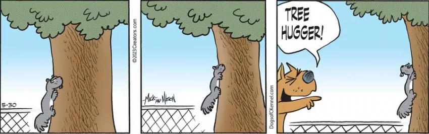 Dogs of C-Kennel for May 30, 2023