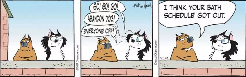 Dogs of C-Kennel for May 30, 2024