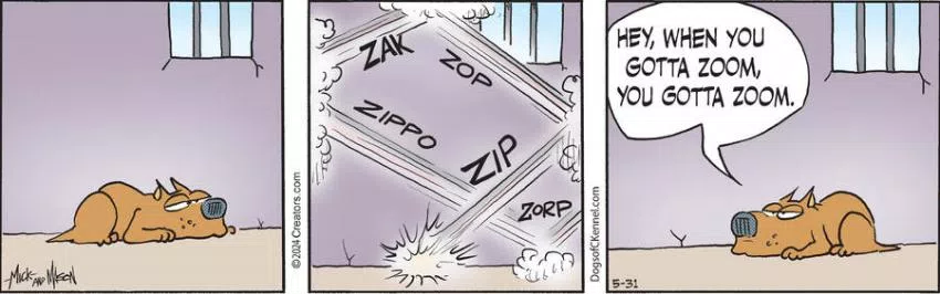 Dogs of C-Kennel for May 31, 2024