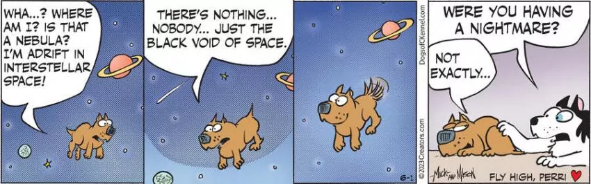 Dogs of C-Kennel for Jun 01, 2023