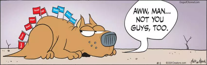 Dogs of C-Kennel for Jun 01, 2024