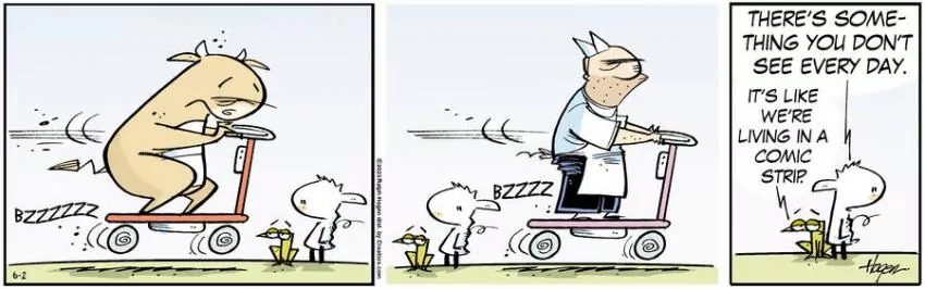 The Barn for Jun 02, 2023