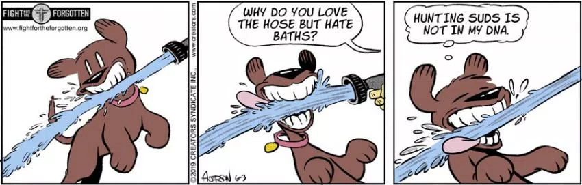 Dog Eat Doug for Jun 03, 2024