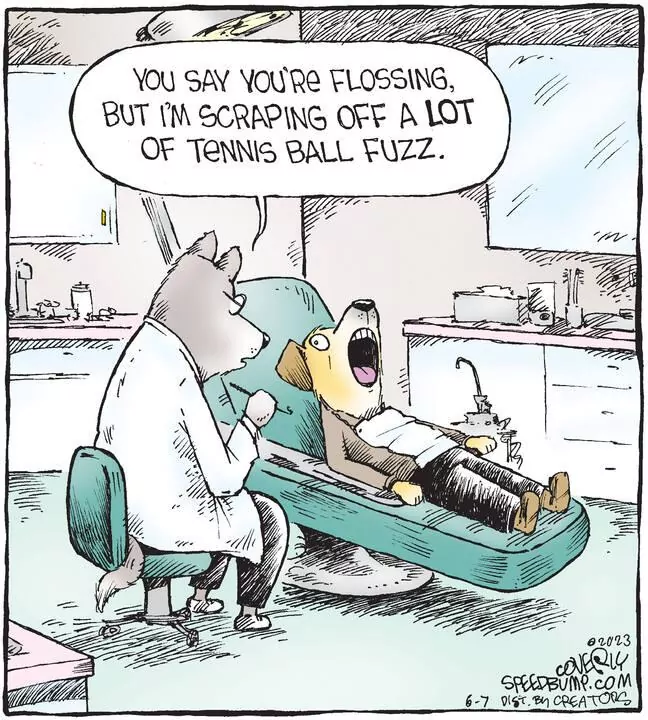 Speed Bump for Jun 07, 2023