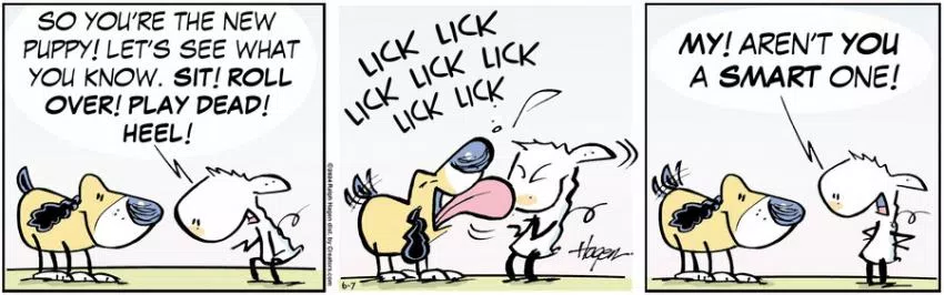 The Barn for Jun 07, 2024