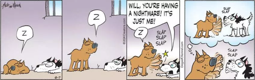 Dogs of C-Kennel for Jun 07, 2024