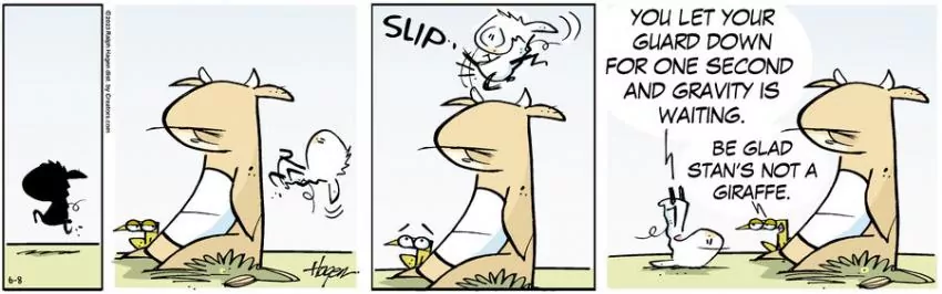 The Barn for Jun 08, 2023