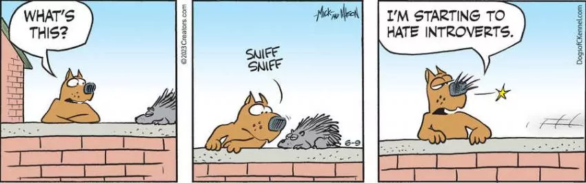 Dogs of C-Kennel for Jun 09, 2023