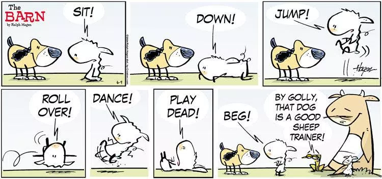 The Barn for Jun 09, 2024