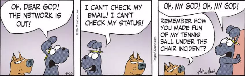 Dogs of C-Kennel for Jun 10, 2024
