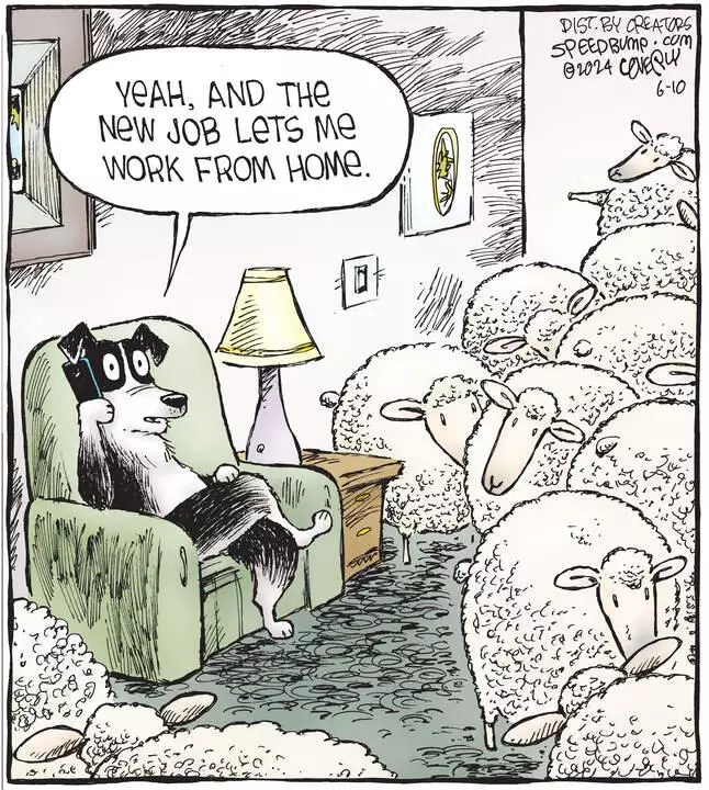 Speed Bump for Jun 10, 2024