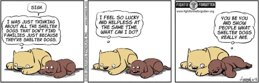 Dog Eat Doug for Jun 12, 2024